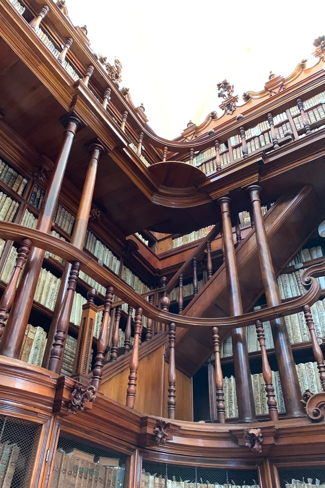 パラフォシアナ図書館