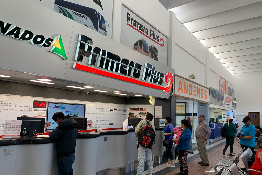 primera plus バス