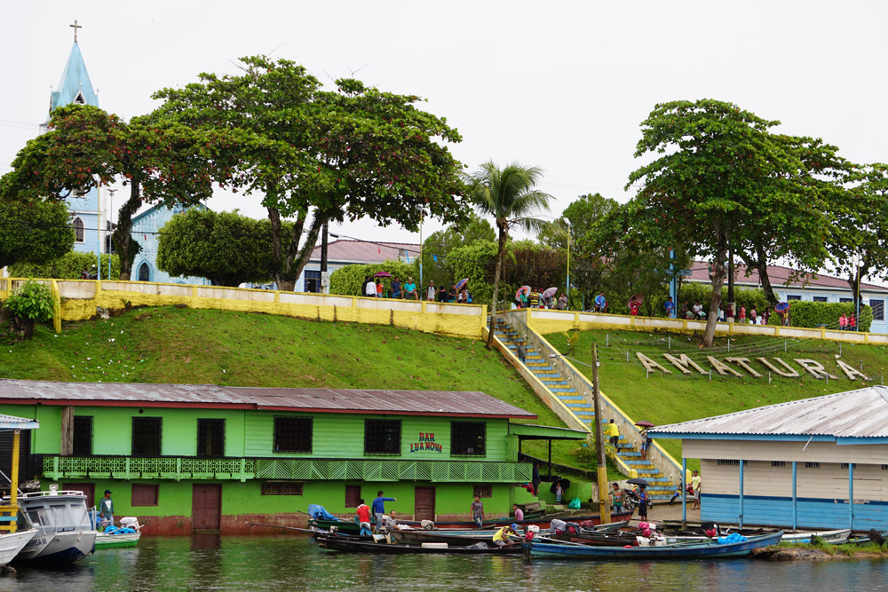 Amatura