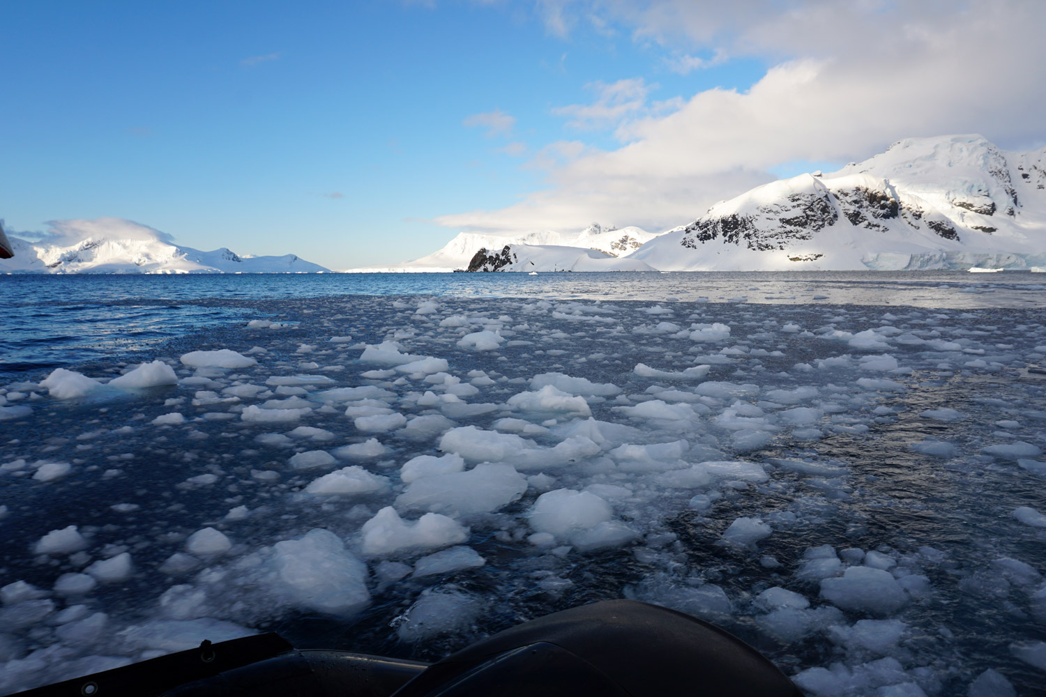 一面の流氷