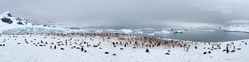 パノラマ風景