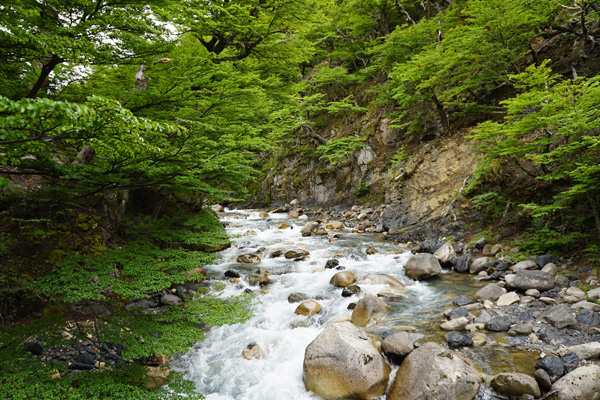 アセンシオ川