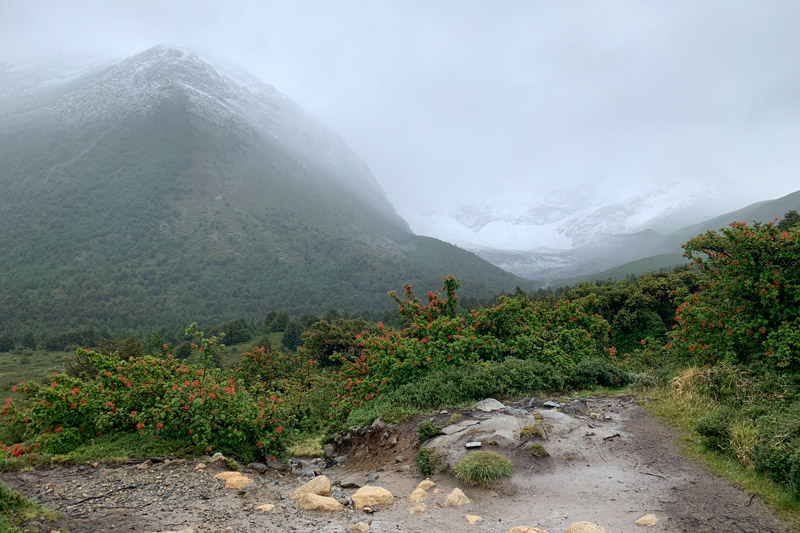 道中の様子
