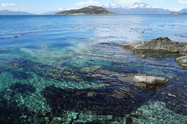 綺麗な海水