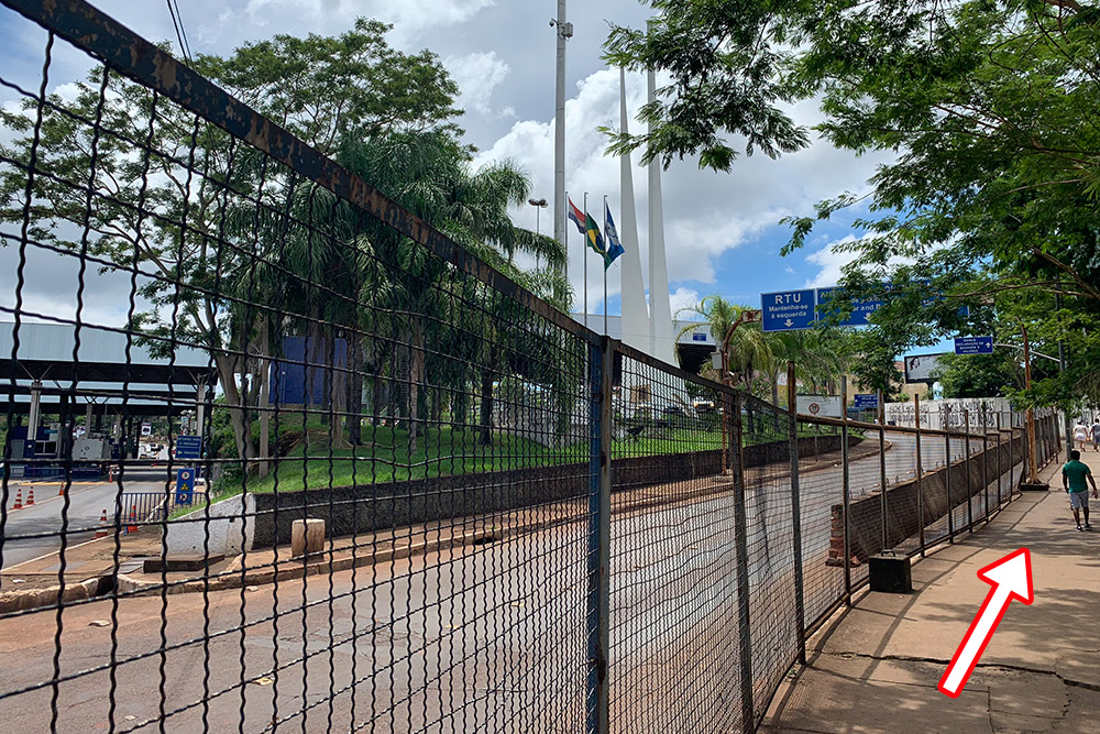 ブラジルイミグレ