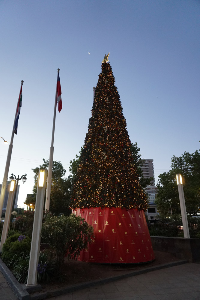 クリスマスツリー