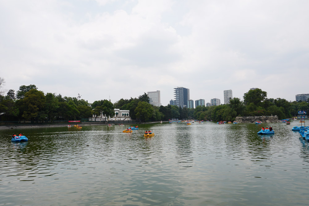 公園内の池
