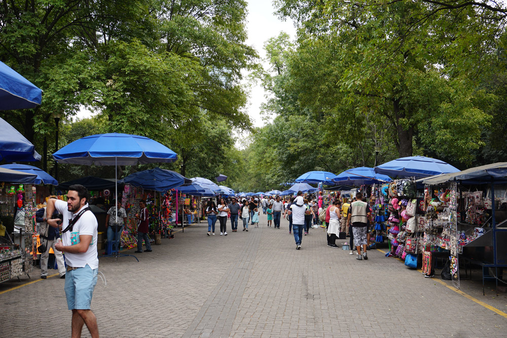 公園内の様子