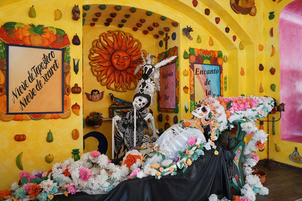 Tepoznieves 本店