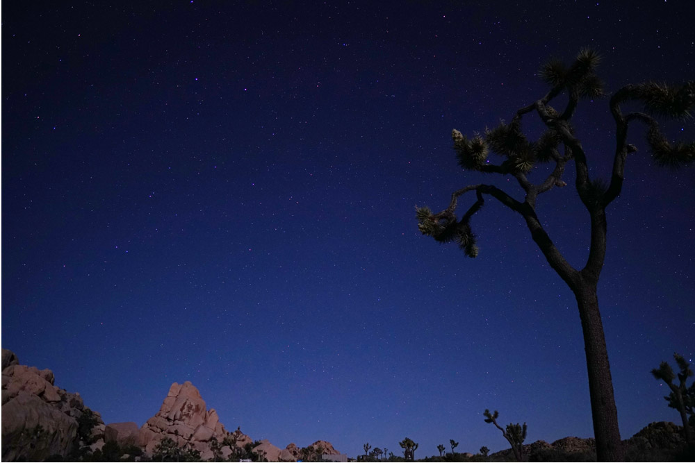 Hidden Valley Campground