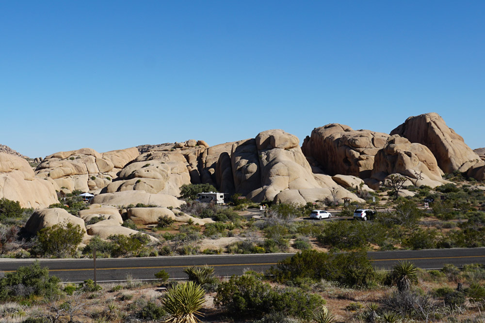 Jumbo Rocks Campground