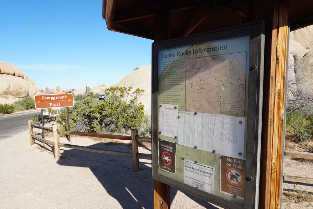 Jumbo Rocks Campground