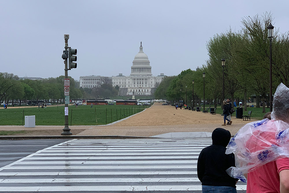 雨のワシントン