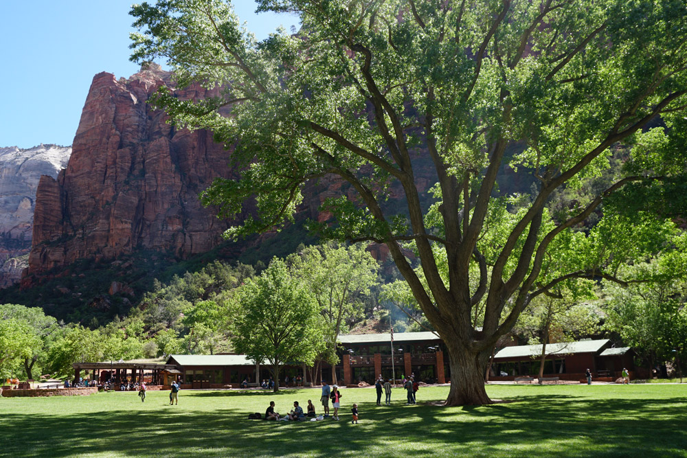 Zion National Park Lodge