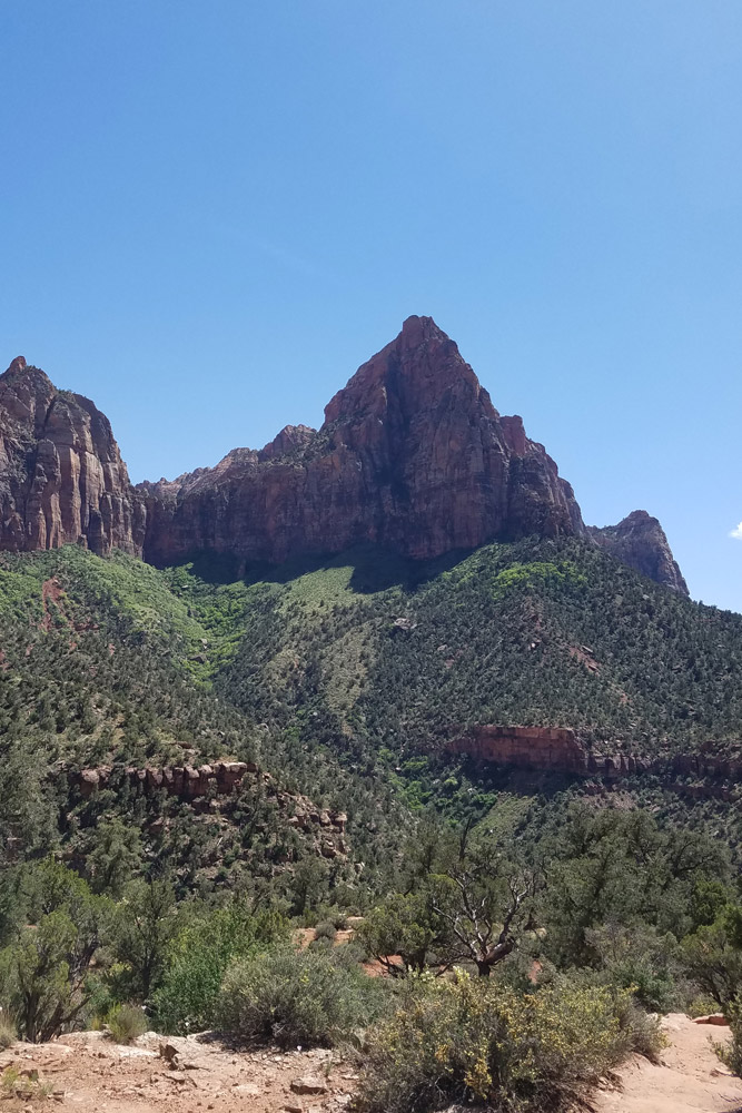 The Watchman