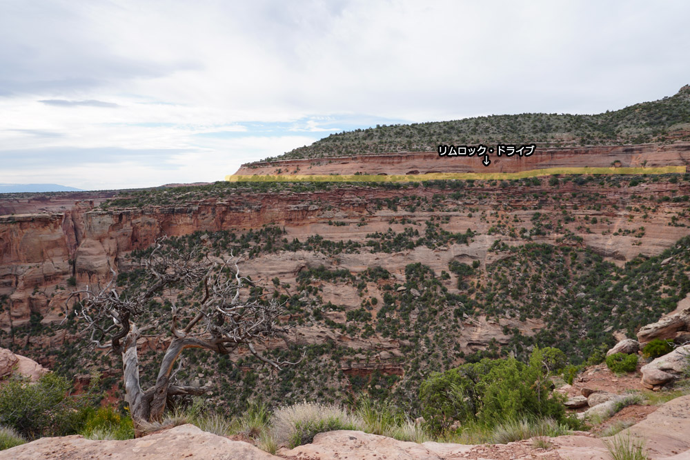 Grand View