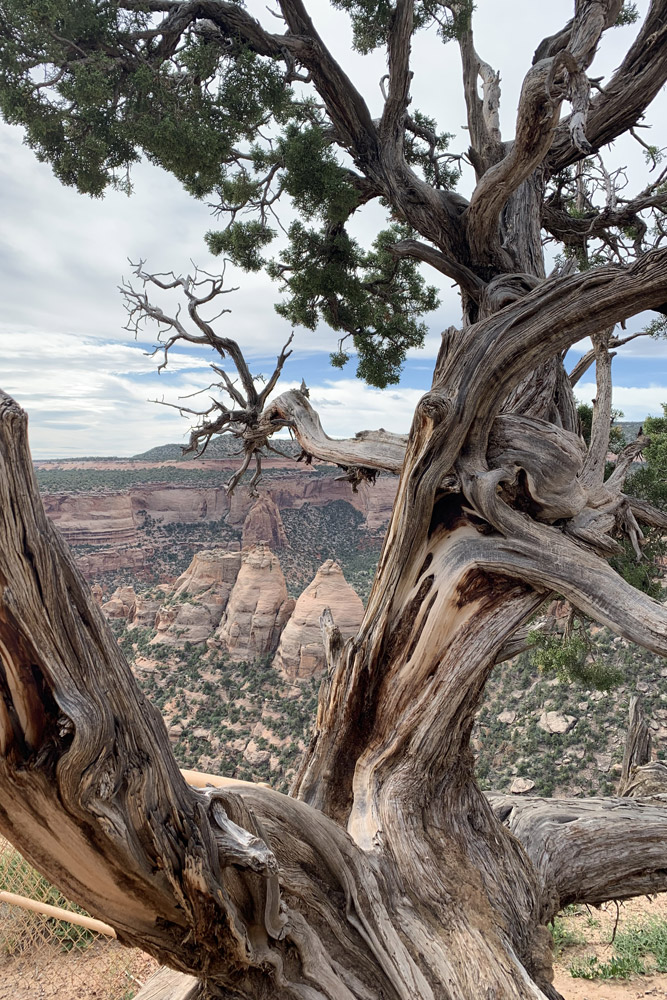 Coke Ovens Overlook