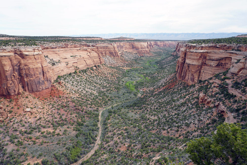 Ute Canyon View