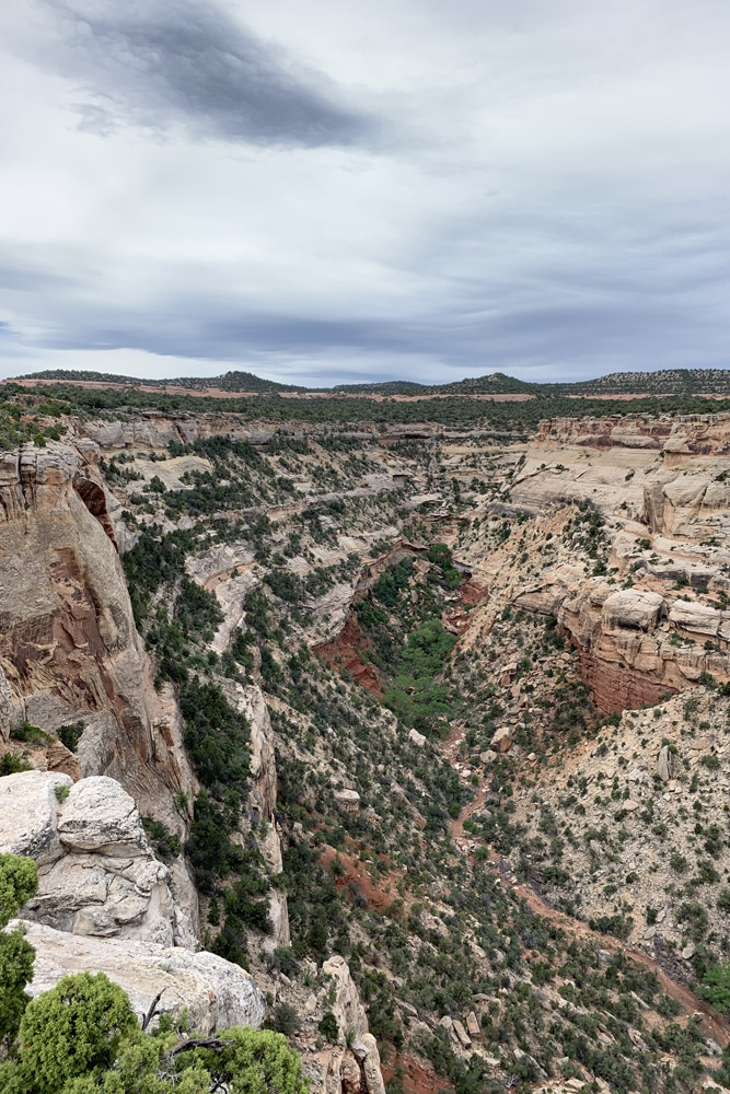 Cold Shivers Point Overlook