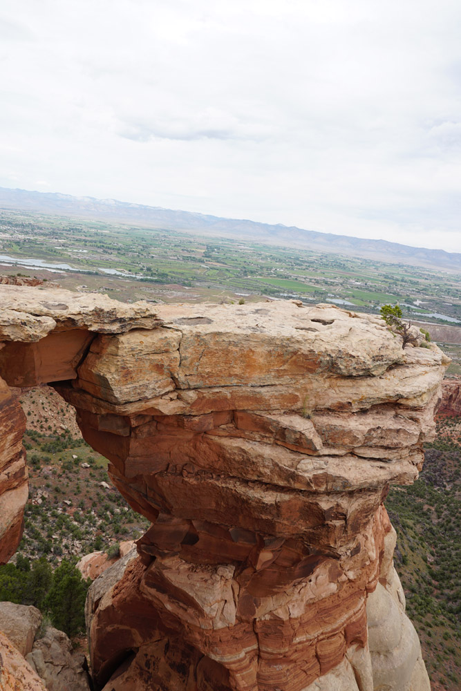 Window Rock