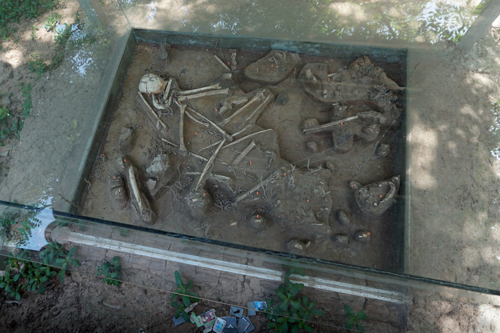 遺骨の様子