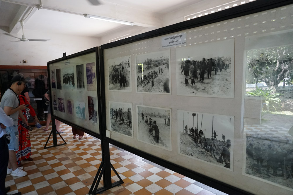資料展示