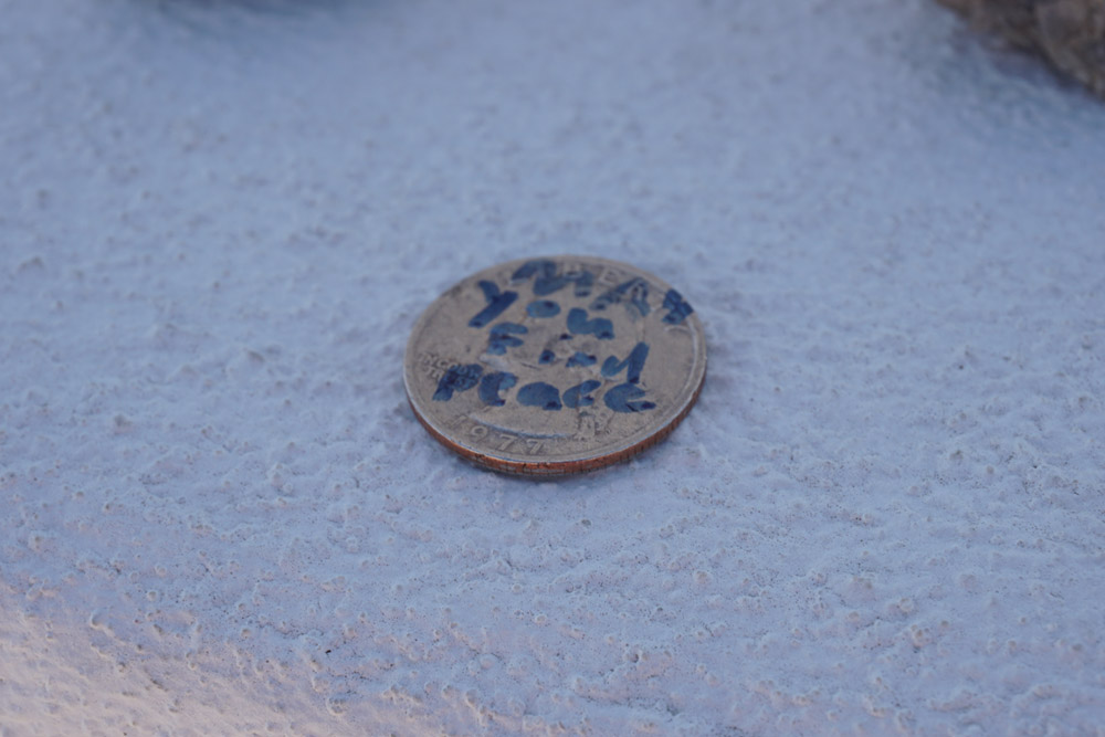 献貨