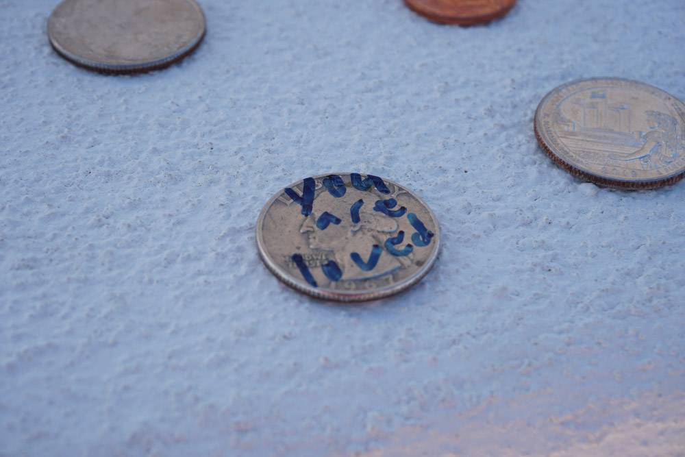 献貨
