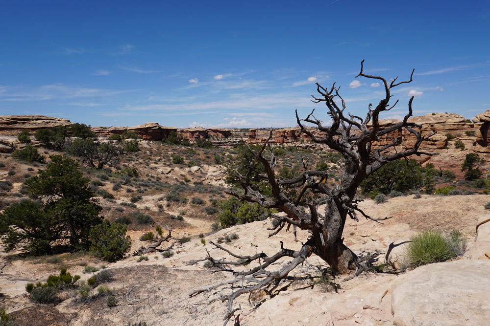 Slickrock Trail