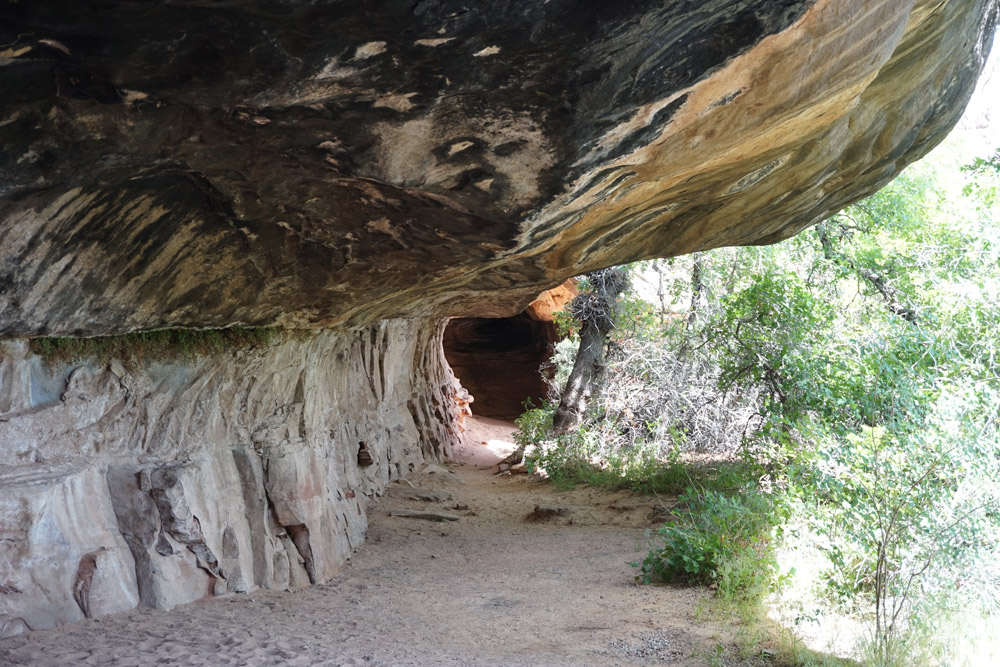 Cave Spring Trail