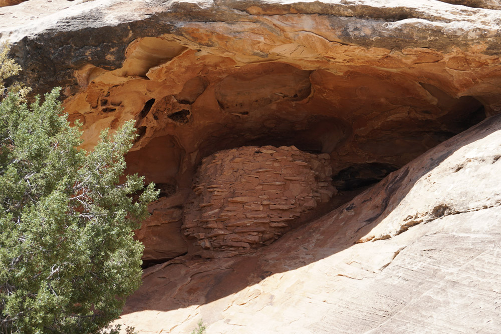 Roadside Ruin Trail