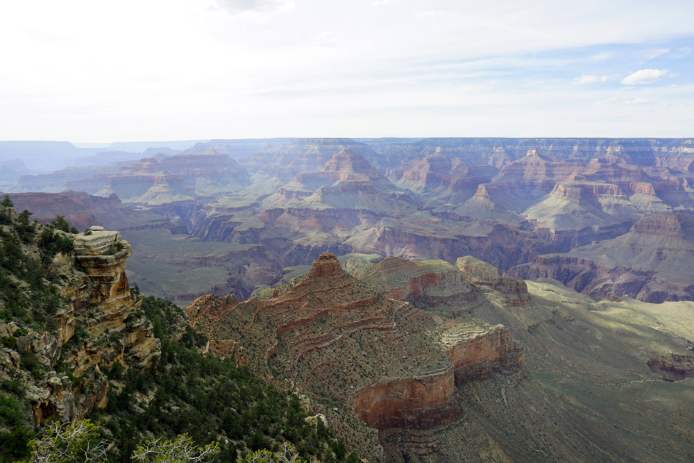 Yaki point