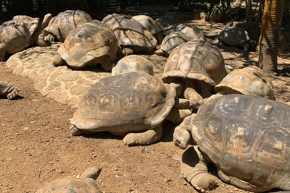 スローライフ