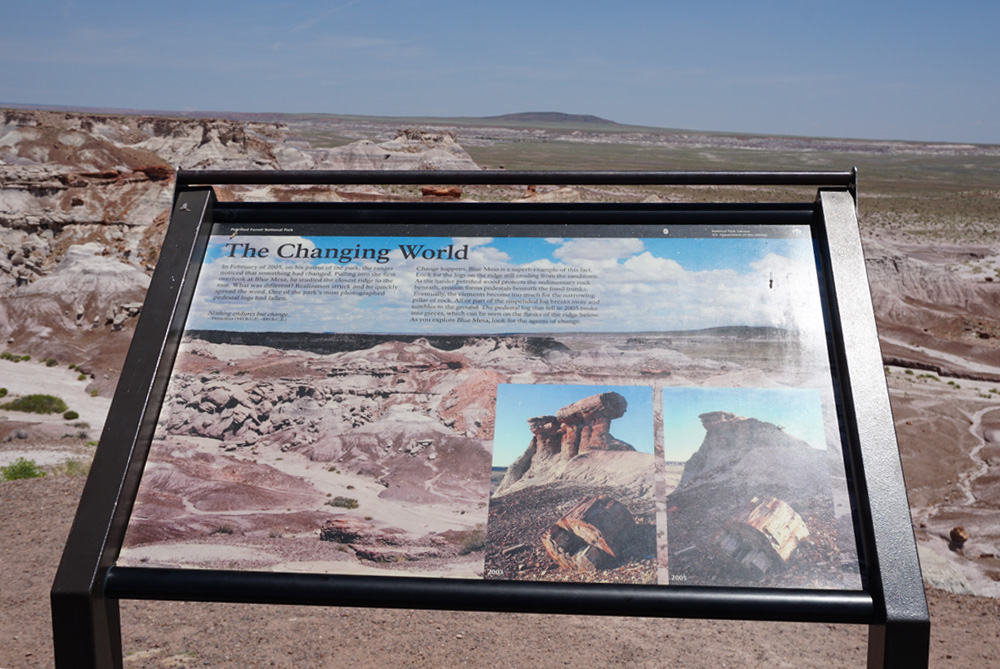 Blue Mesa Viewpoint