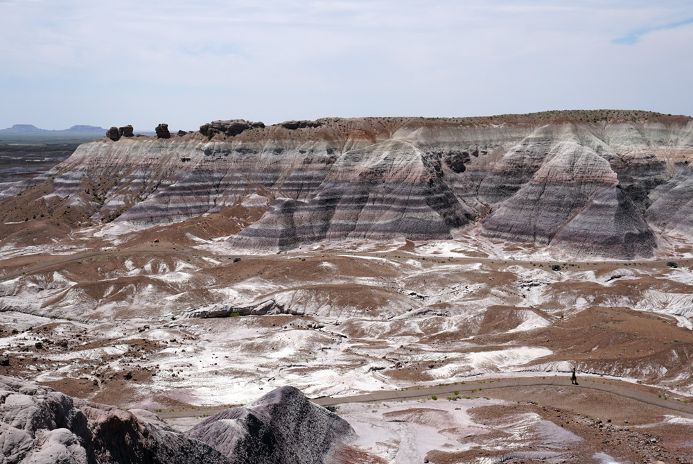 Blue Mesa Viewpoint