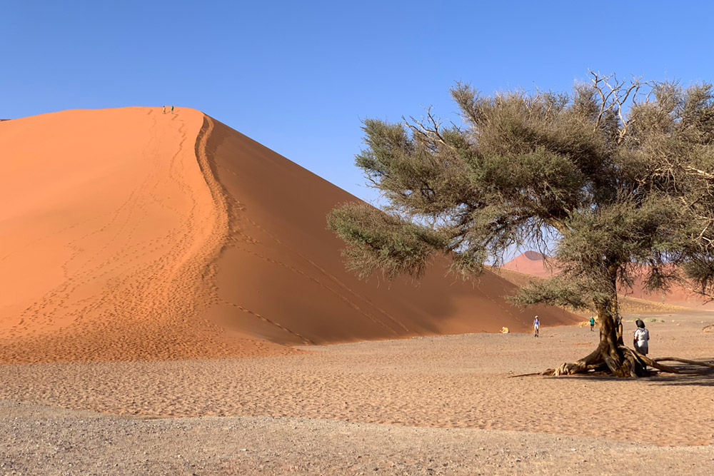 Dune45