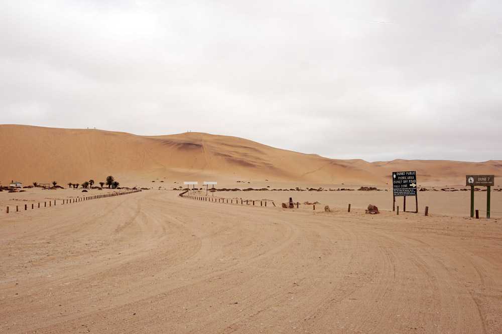 Dune 7