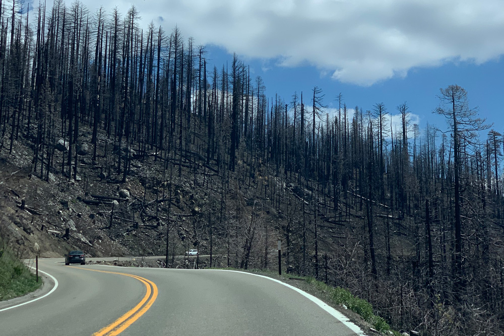 山火事跡