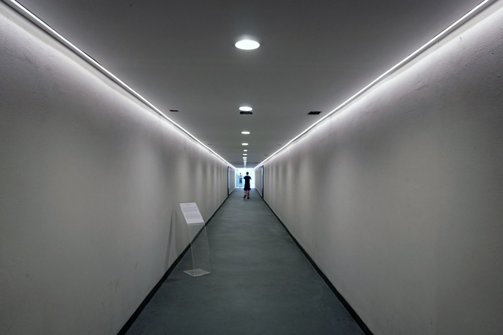 フィールド入場通路