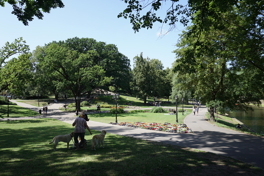 バスティオンヒル公園