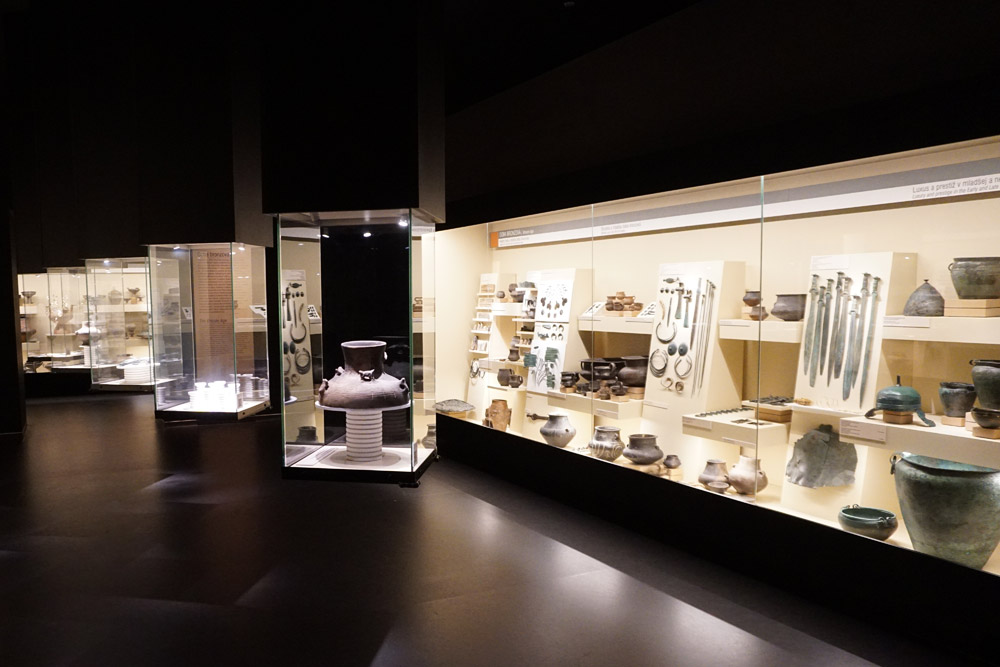 展示の様子