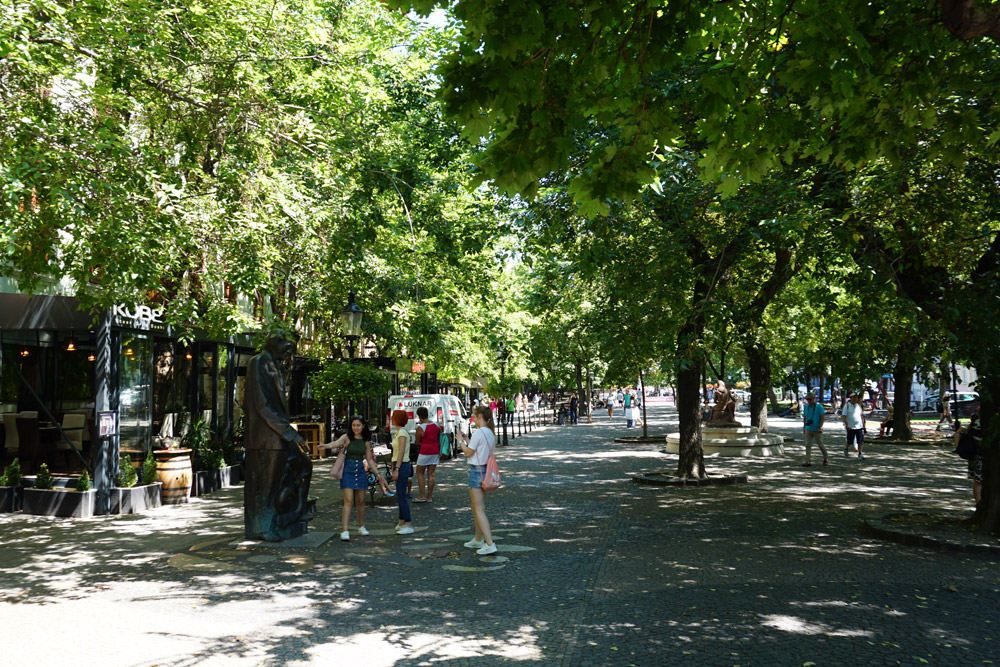 市立公園