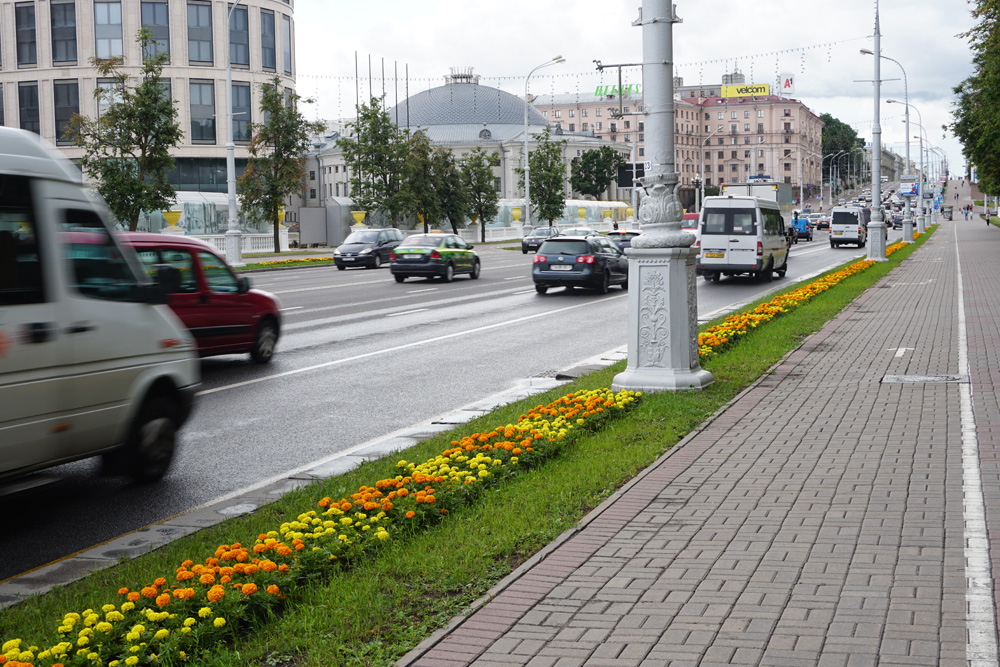 綺麗な歩道